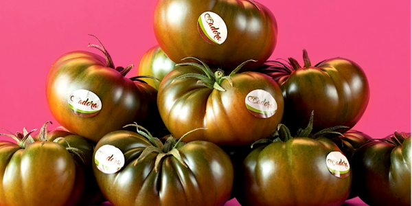 Tartar de tomate con helado de AOVE La Caja Saludable