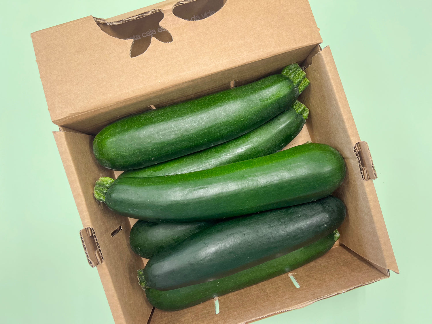 OFERTA FLASH CALABACIN