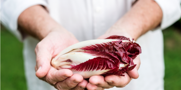 La achicoria ayudará a tu digestión La Caja Saludable