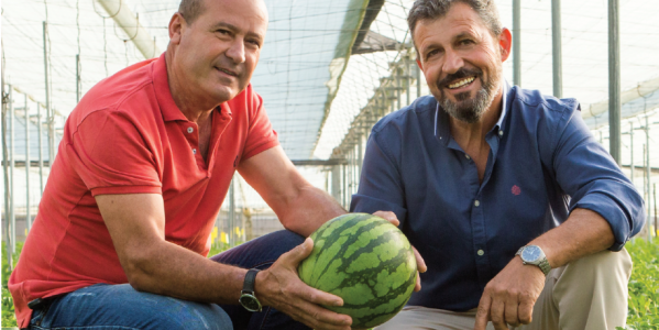 La caja saludable, un proyecto de economía social La Caja Saludable