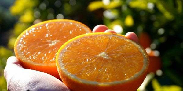 Naranjas Navel y Salustiana, descúbrelas y nos cuentas La Caja Saludable
