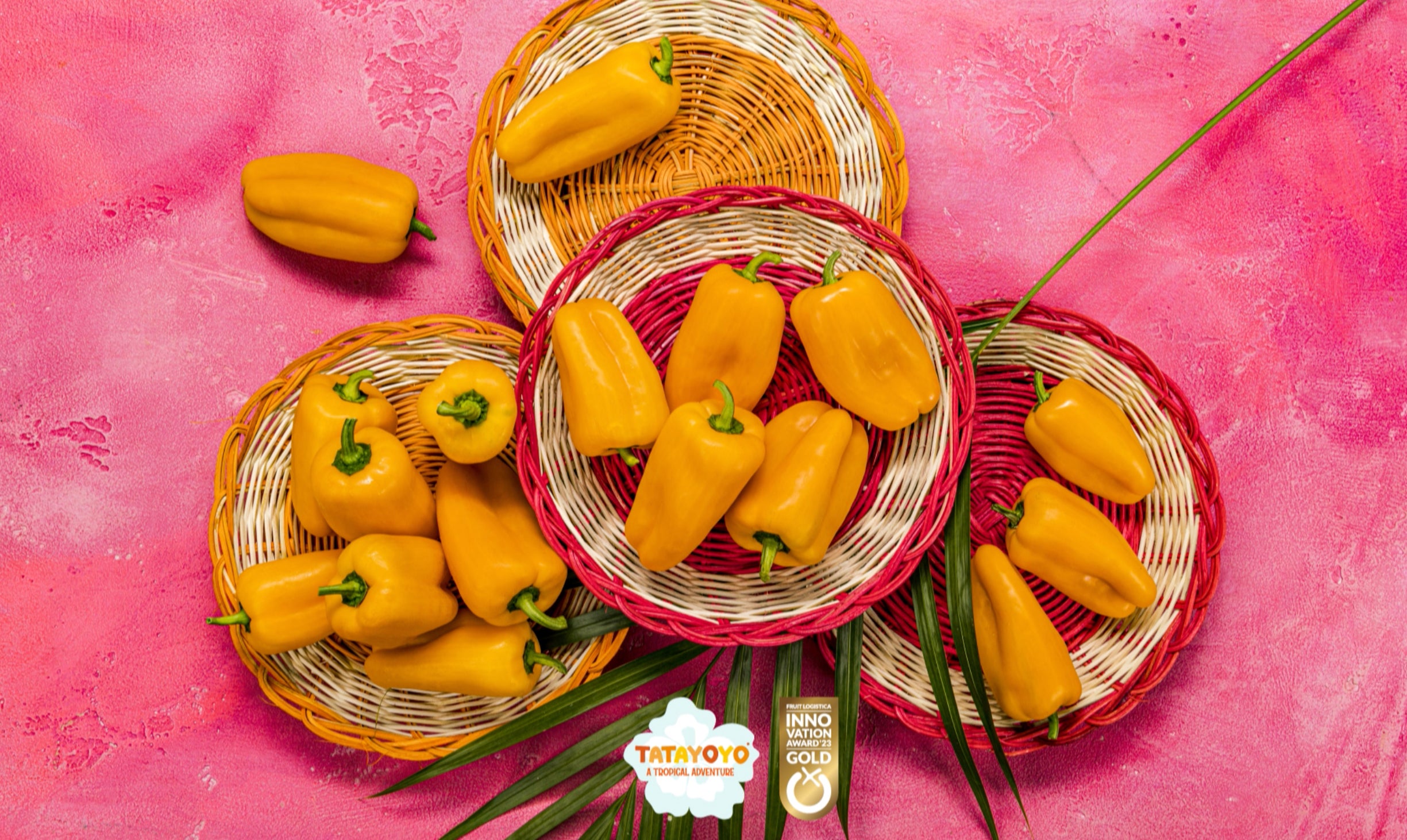 Pimiento Tatayoyo relleno de queso La Caja Saludable