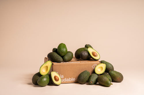 CAJA AGUACATE ECO
