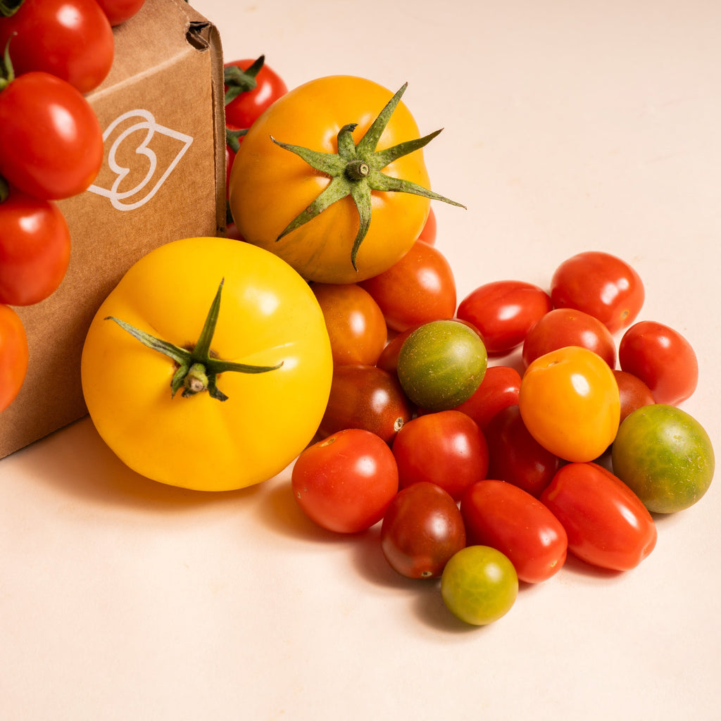 NUEVA SELECCIÓN DE TOMATES