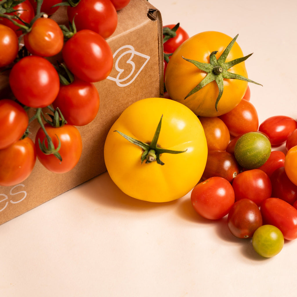 NUEVA SELECCIÓN DE TOMATES