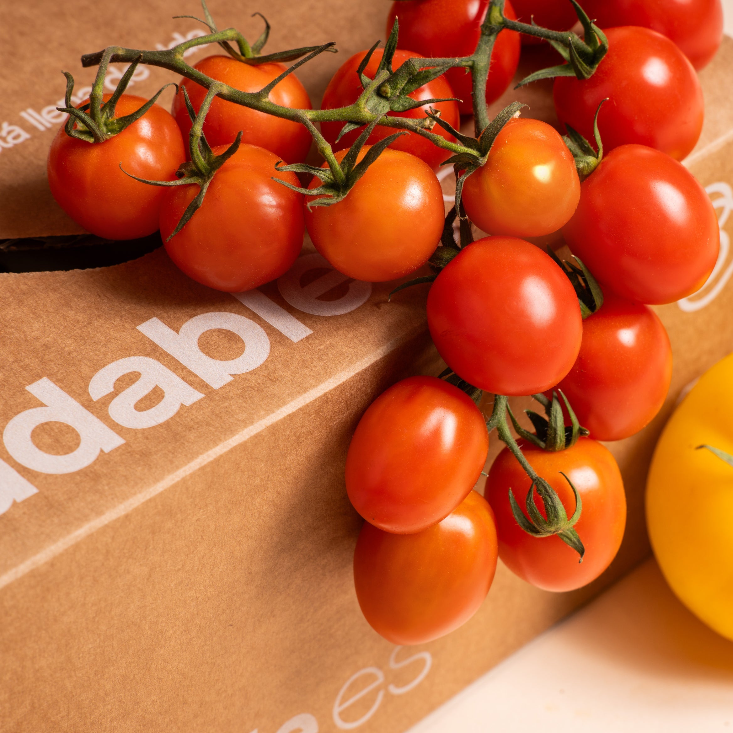 NUEVA SELECCIÓN DE TOMATES