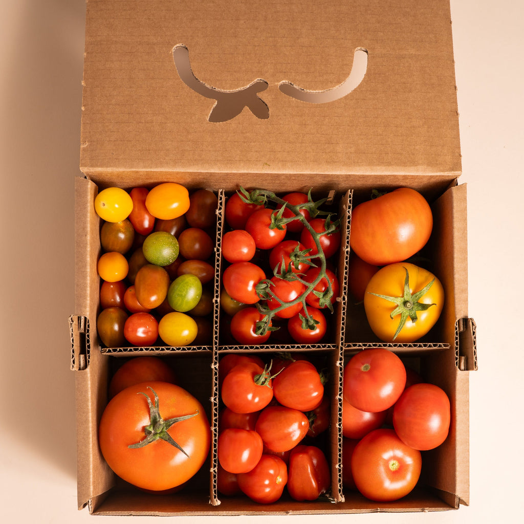 NUEVA SELECCIÓN DE TOMATES