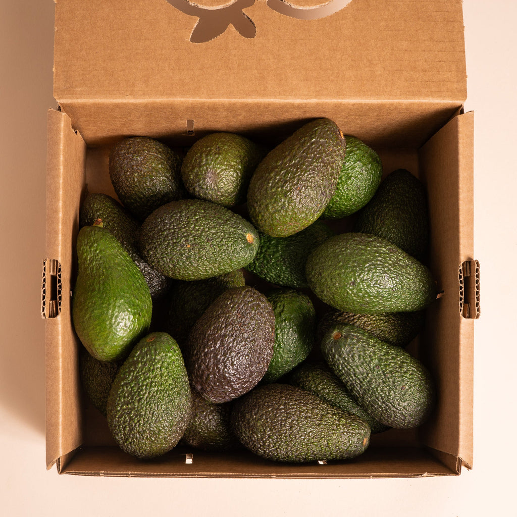 CAJA AGUACATE ECO
