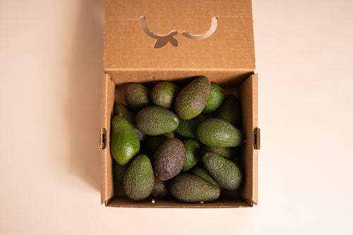 CAJA AGUACATE ECO
