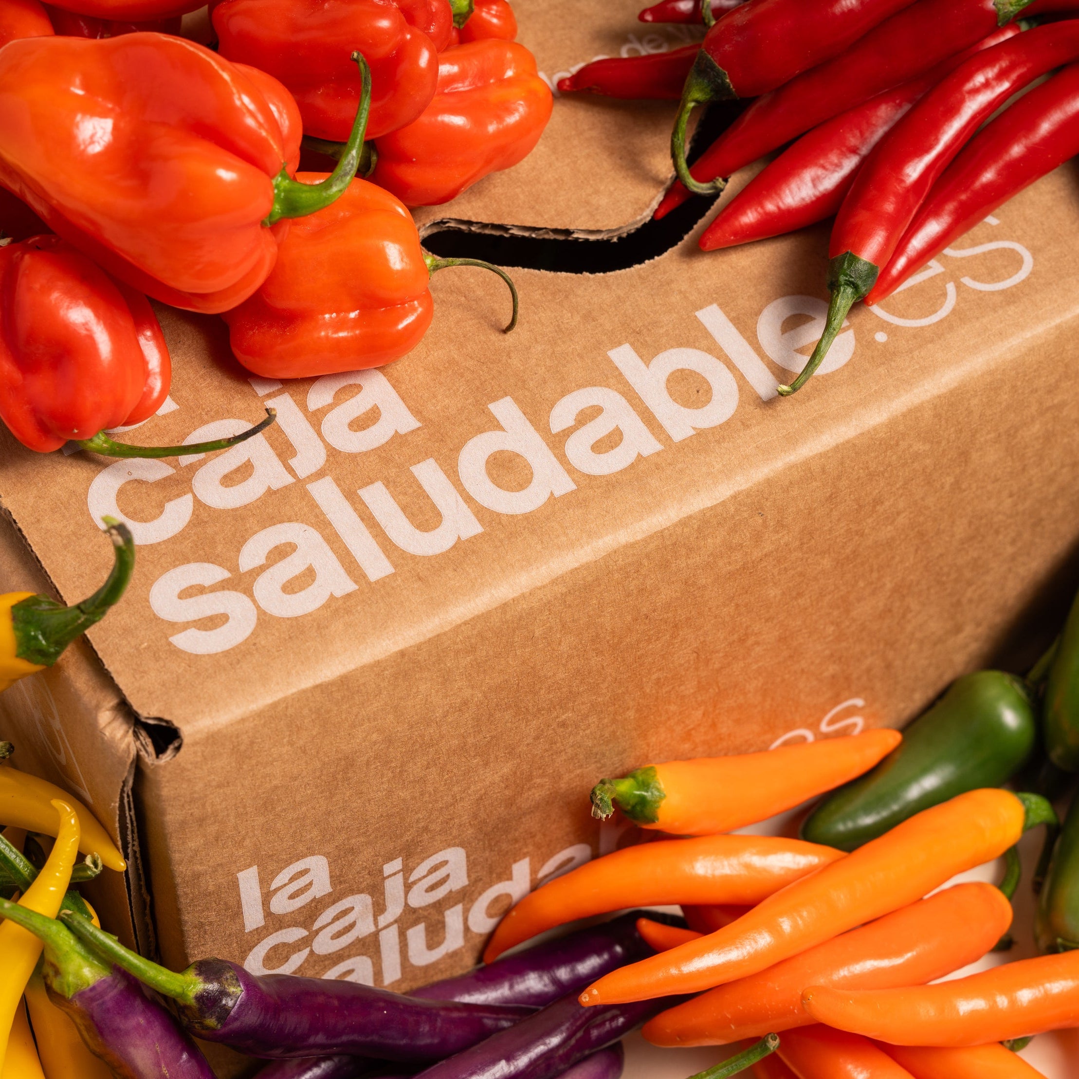 CAJA PICANTE MIX
