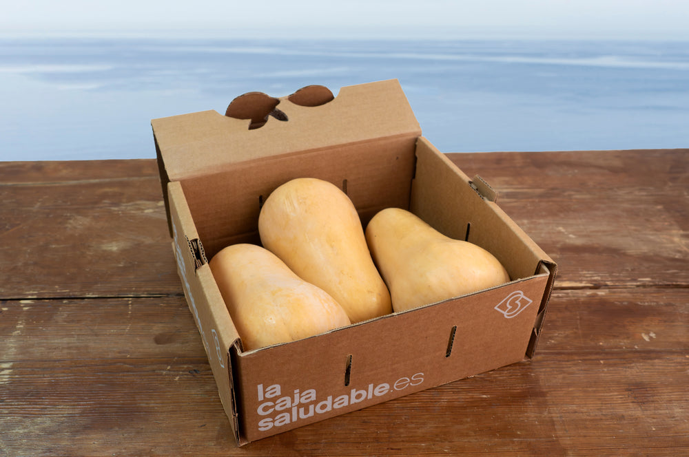 CALABAZA ECO