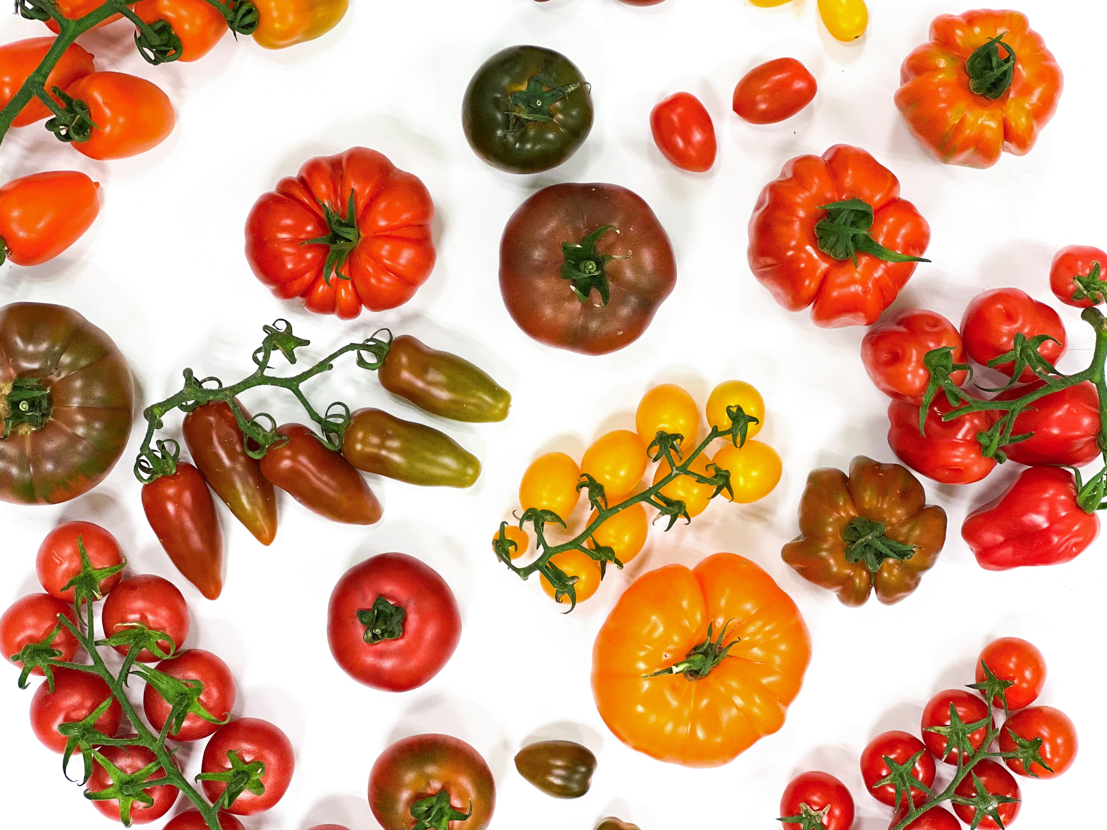 OFERTA FLASH │ TOMATES DE AUTOR