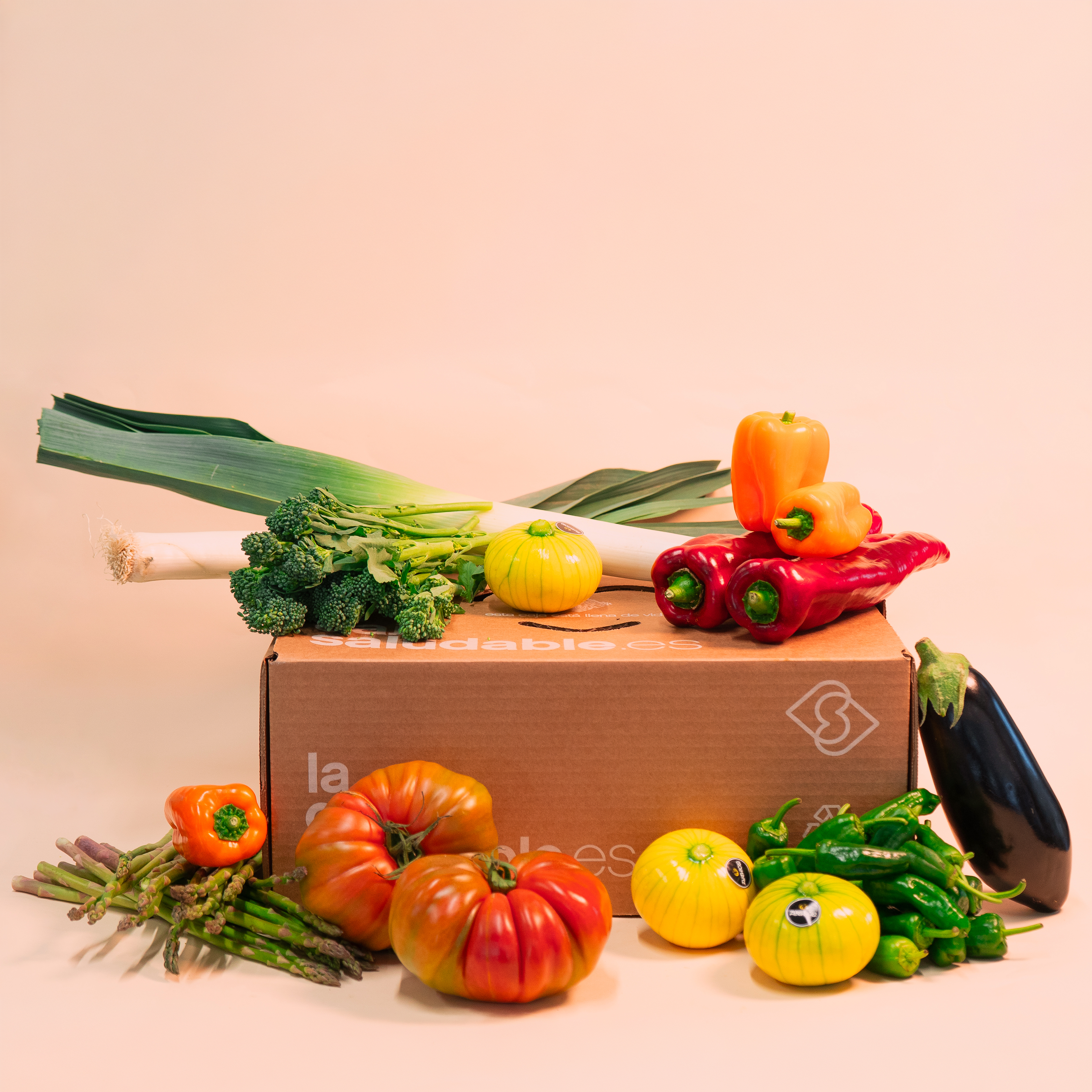 CAJA ESPECIAL PRIMAVERA