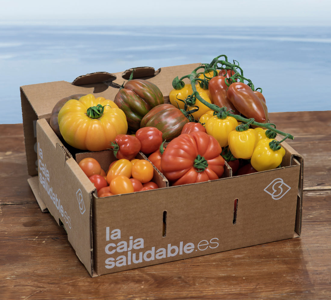 NUEVA SELECCIÓN DE TOMATES