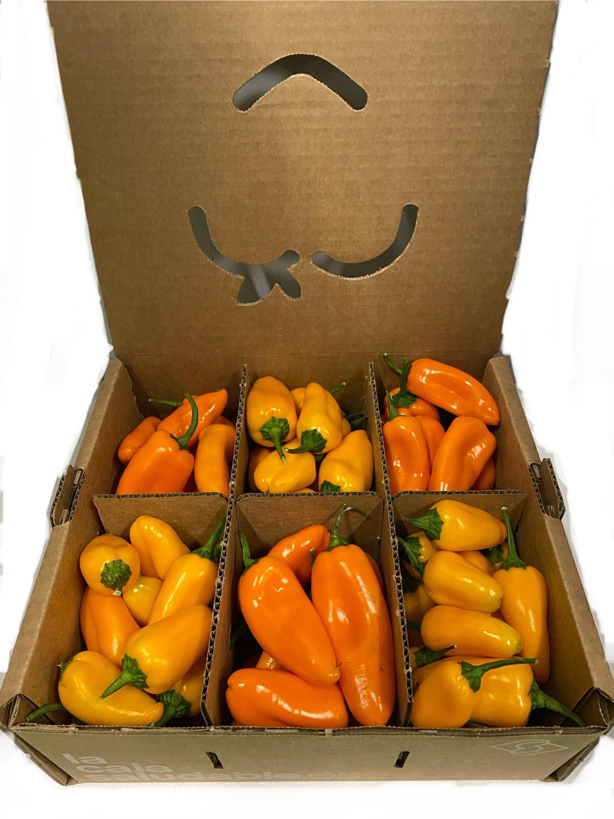 OFERTA FLASH PIMIENTO PEPERITO