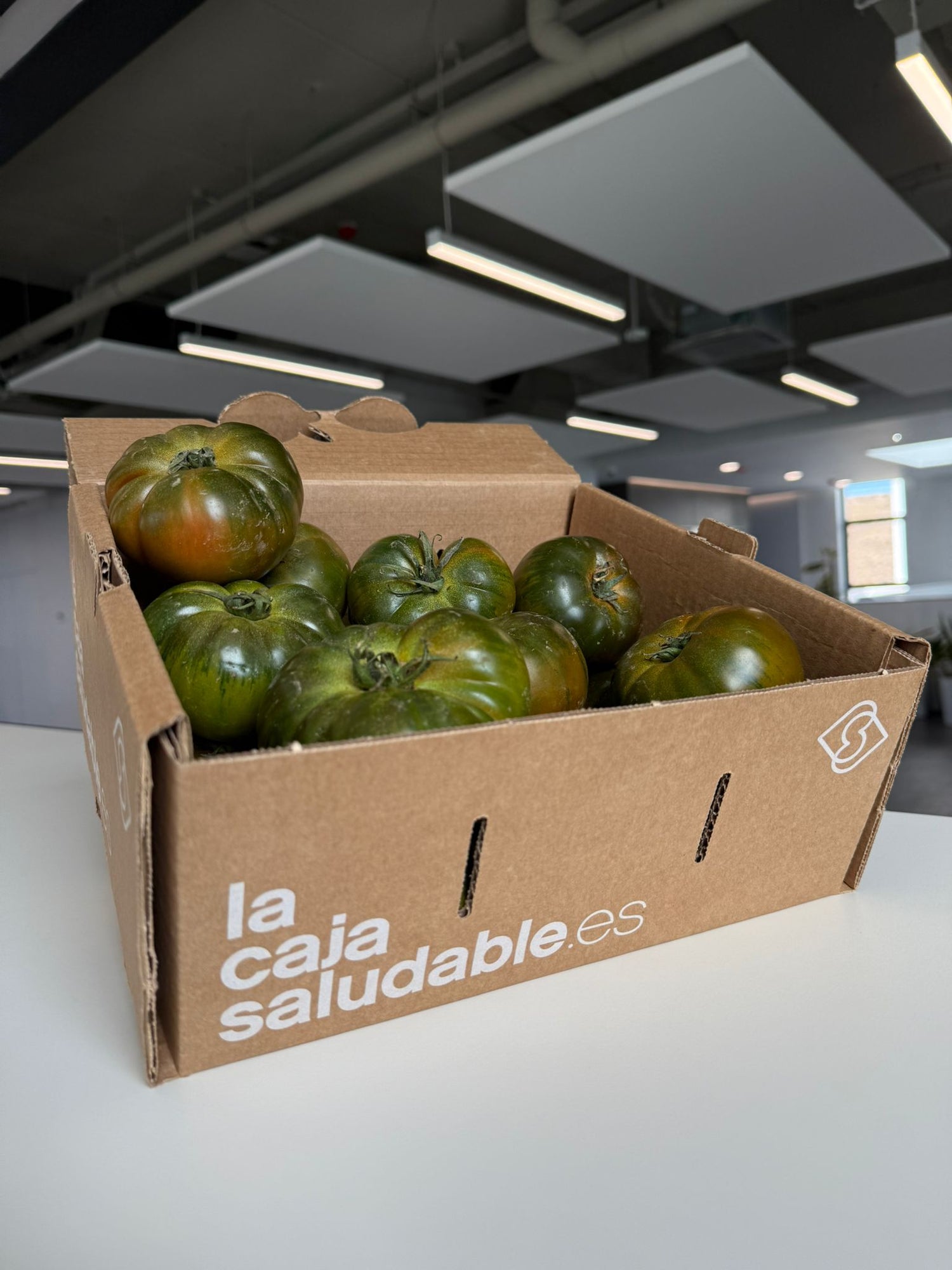 CERO DESPERDICIO TOMATE ASURCADO