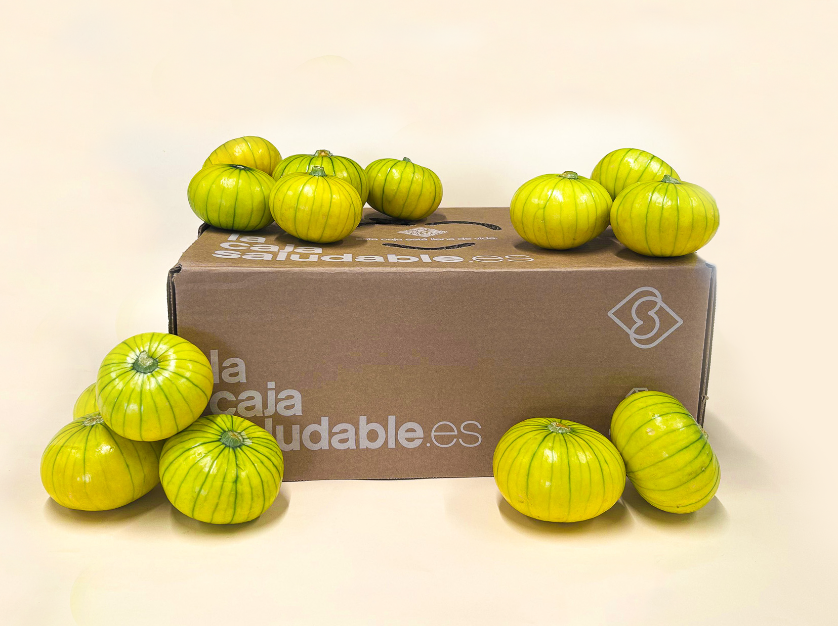 OFERTA FLASH ZUCCHIOLO 2,5KG