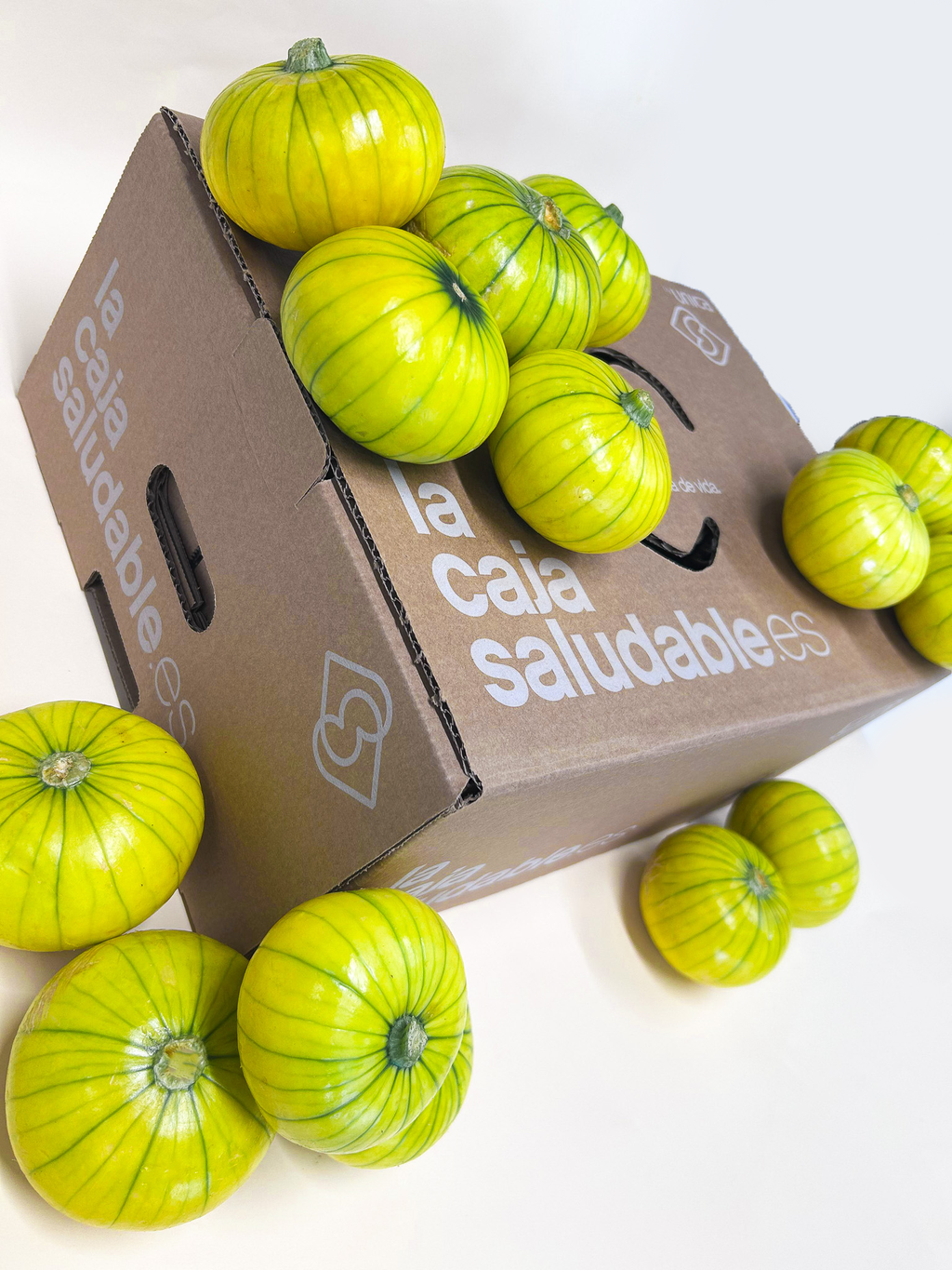 OFERTA FLASH ZUCCHIOLO 2,5KG