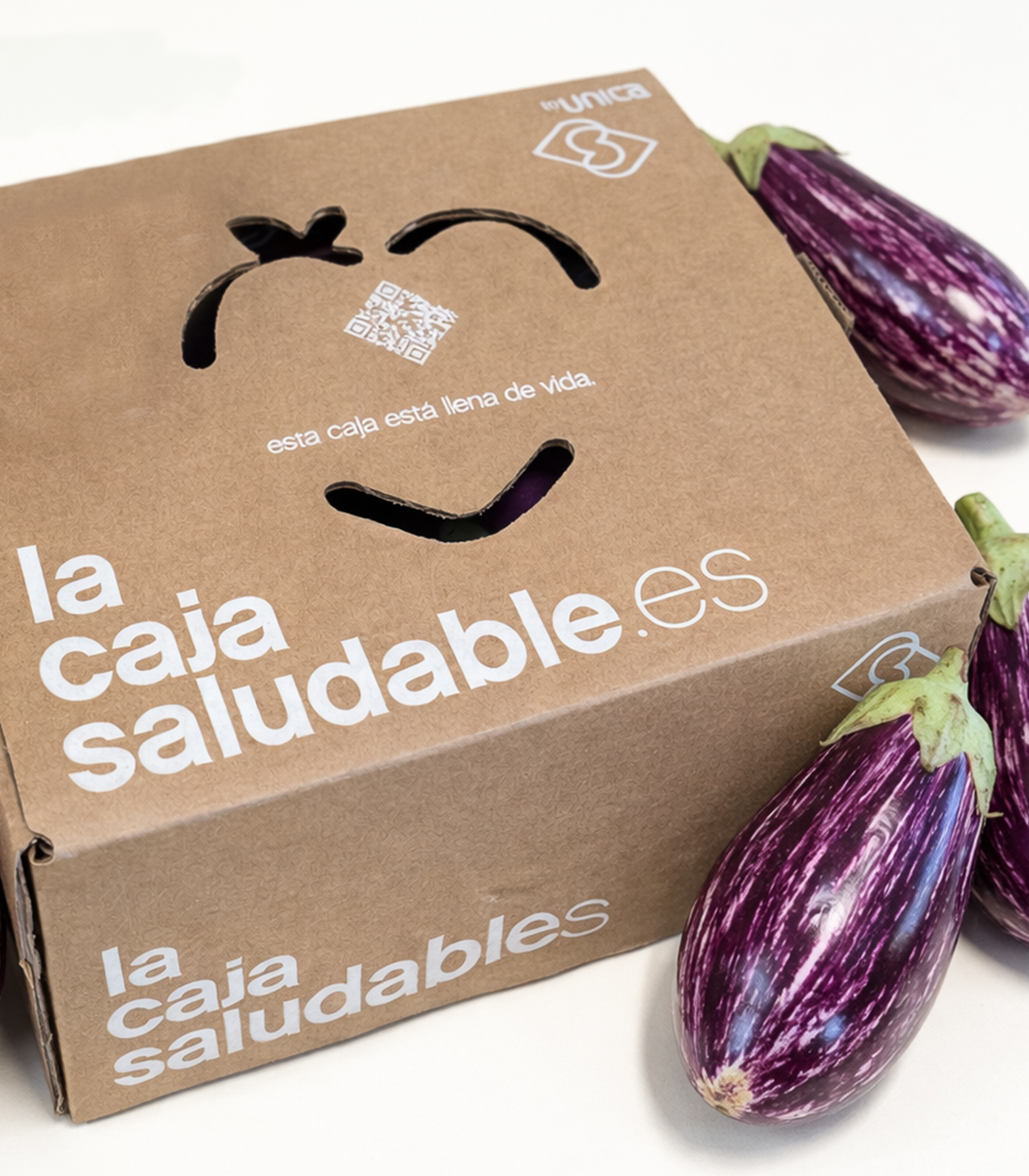 OFERTA FLASH BERENJENA RAYADA