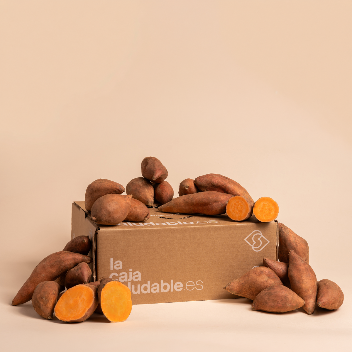 CAJA BONIATO | ASOCIADOS