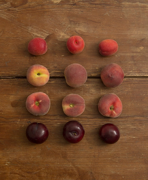FRUTA DE HUESO ECO