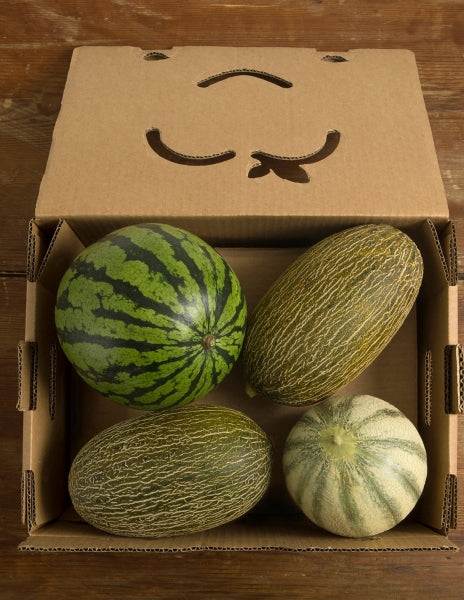 CAJA COMBO (MELÓN Y SANDÍA) | ASOCIADOS