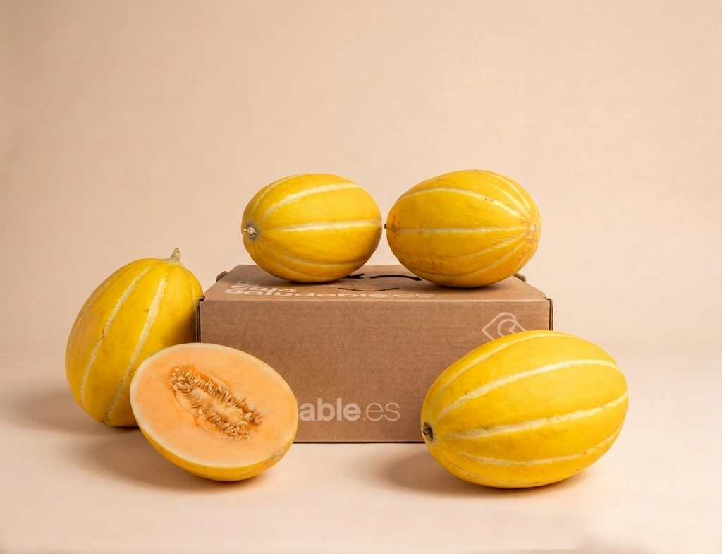 CAJA MELON RUGBY