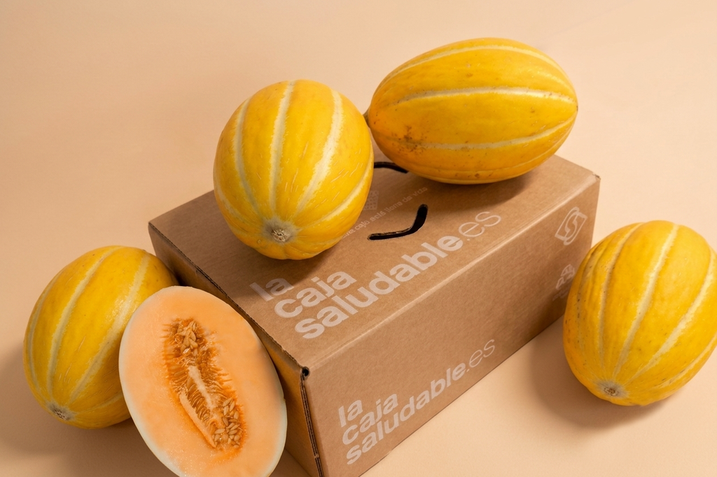 CAJA MELON RUGBY
