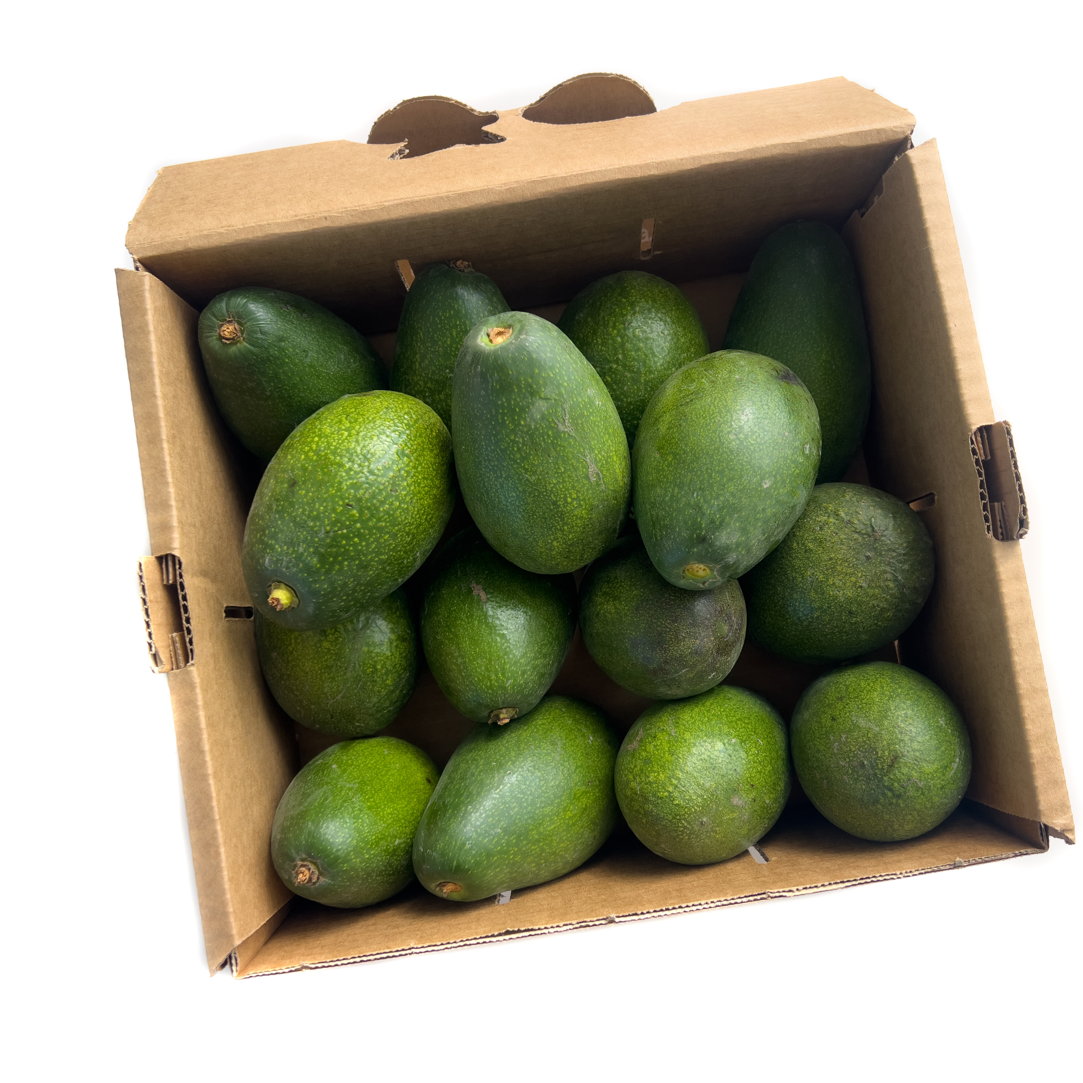 CAJA AGUACATE ECO