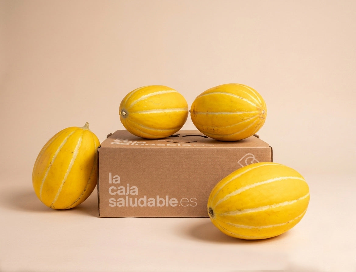 CAJA MELON RUGBY