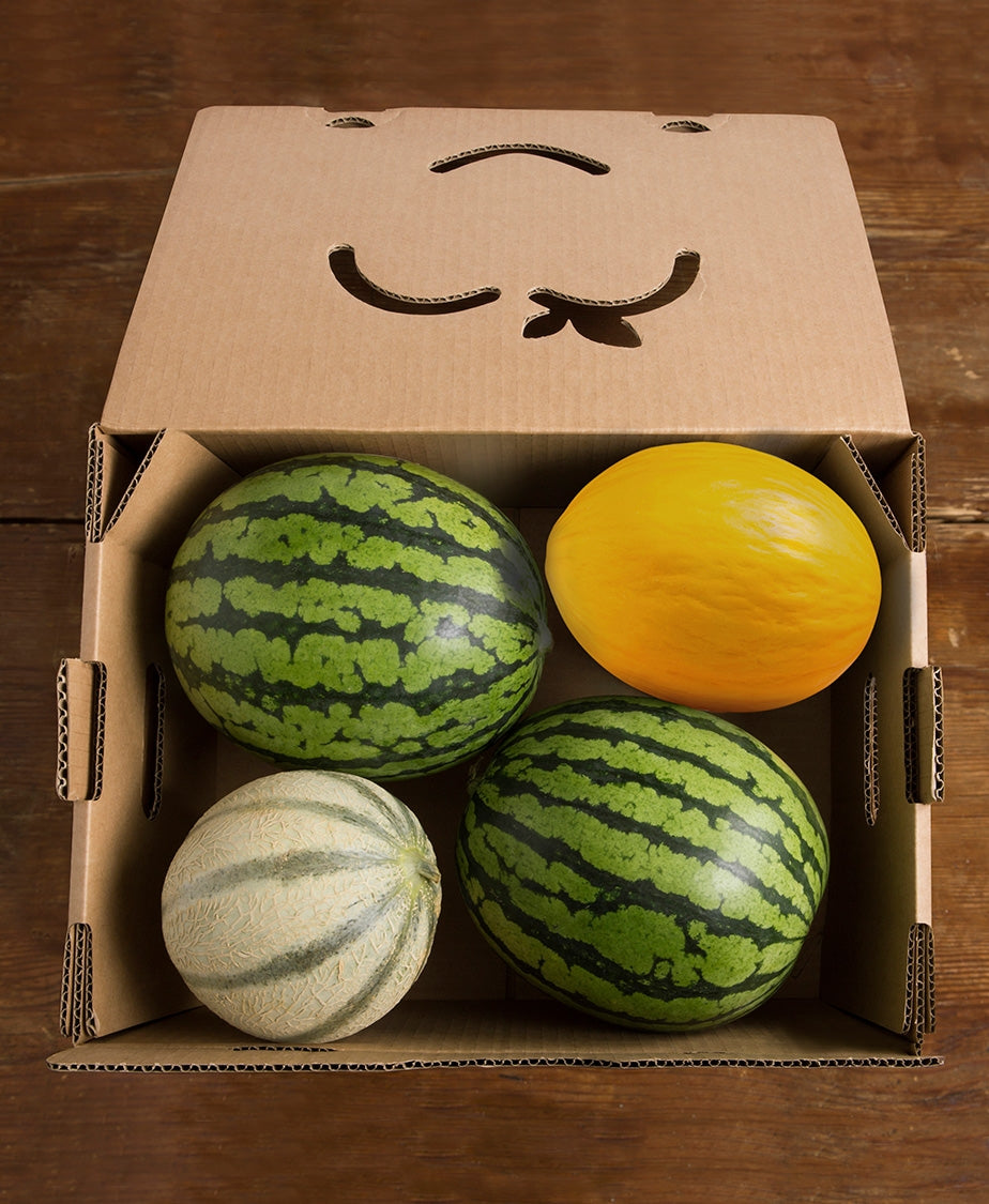 CAJA COMBO (MELÓN Y SANDÍA)