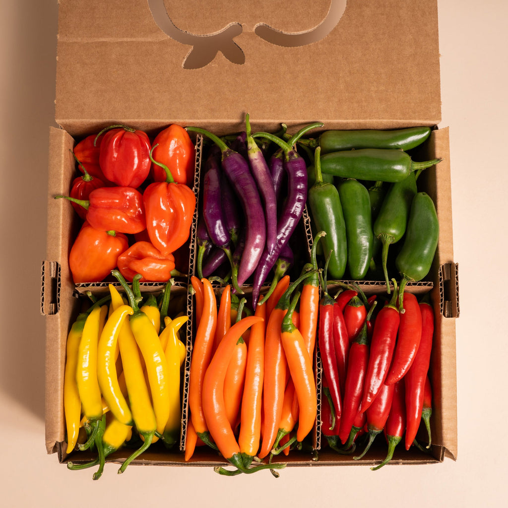 CAJA PICANTE MIX