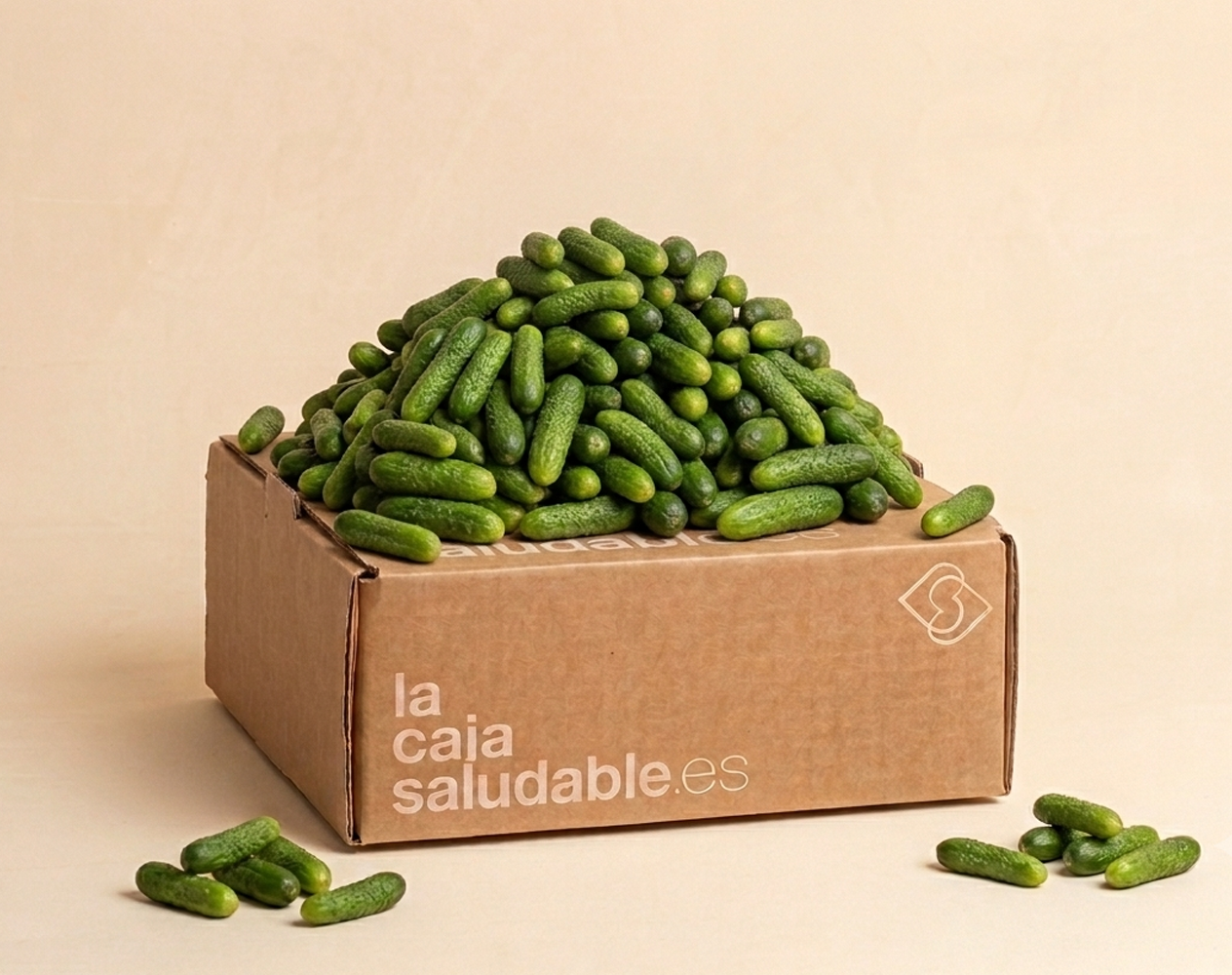 CAJA Pop its