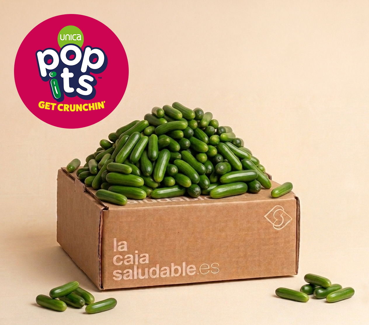 CAJA Pop its