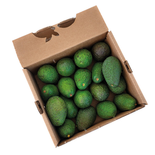 CAJA AGUACATE ECO