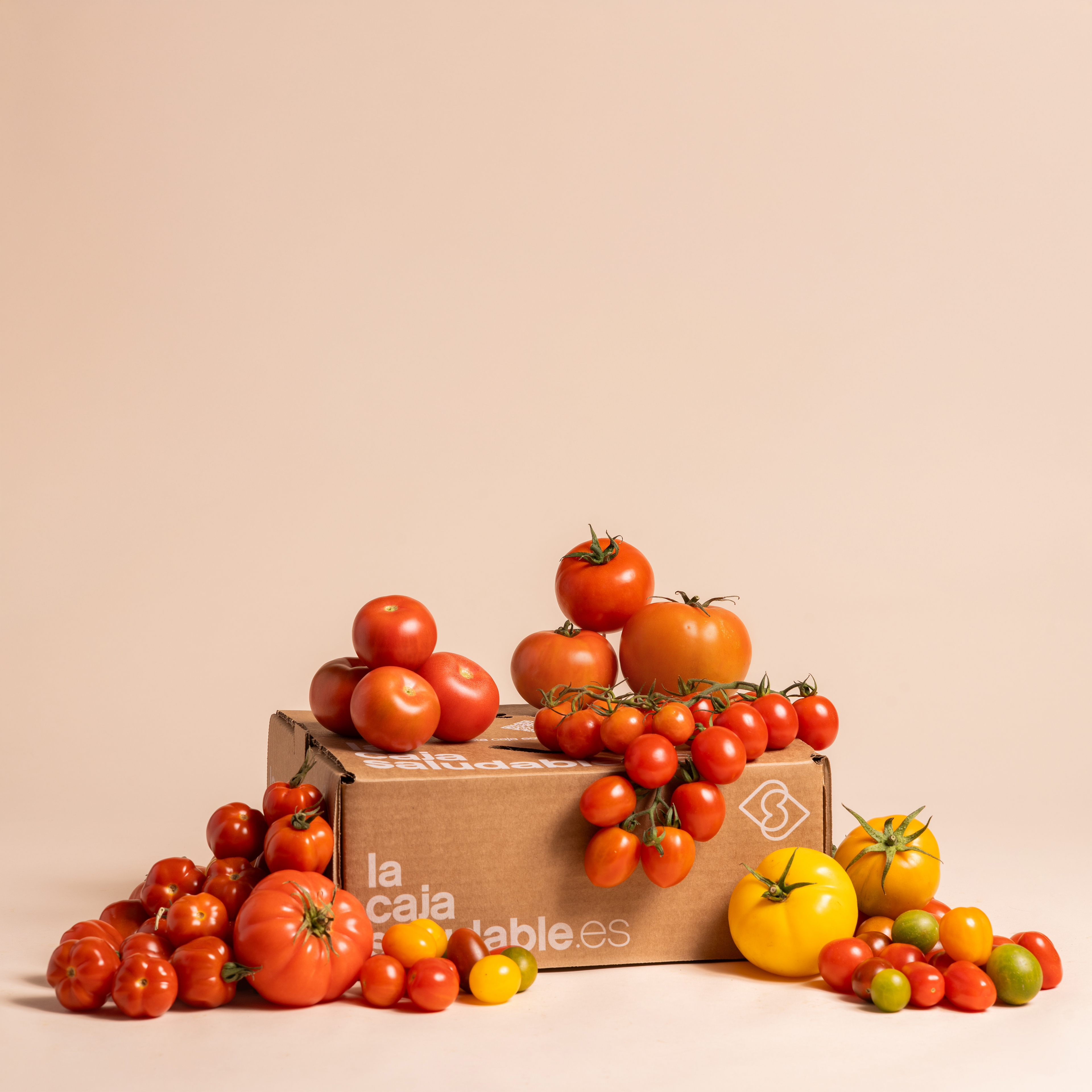 NUEVA SELECCIÓN DE TOMATES